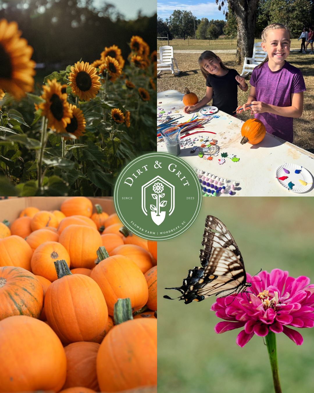 Fall on the Farm
